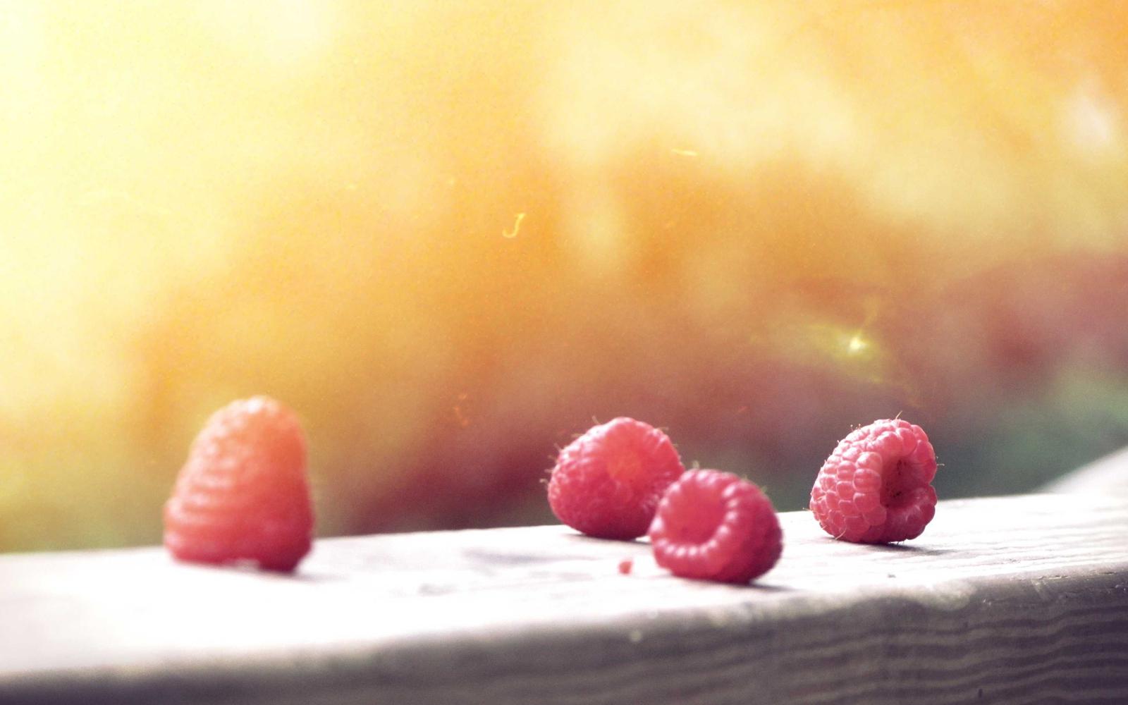 Spreadsheet and file labels for retrieval